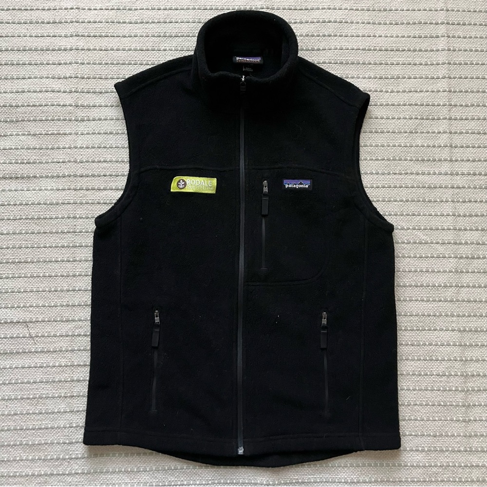 Patagonia Synchilla vest